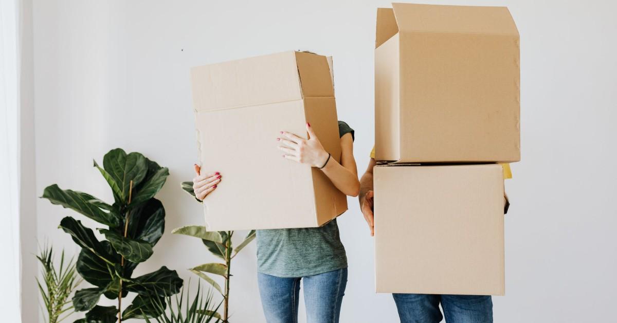 Read more about the article What Professional Movers Can Do for You